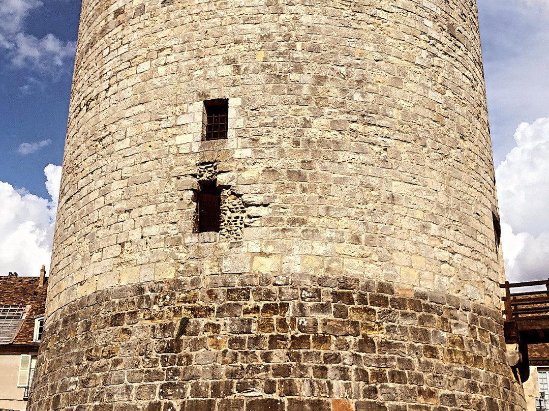 Château de Dourdan景点图片