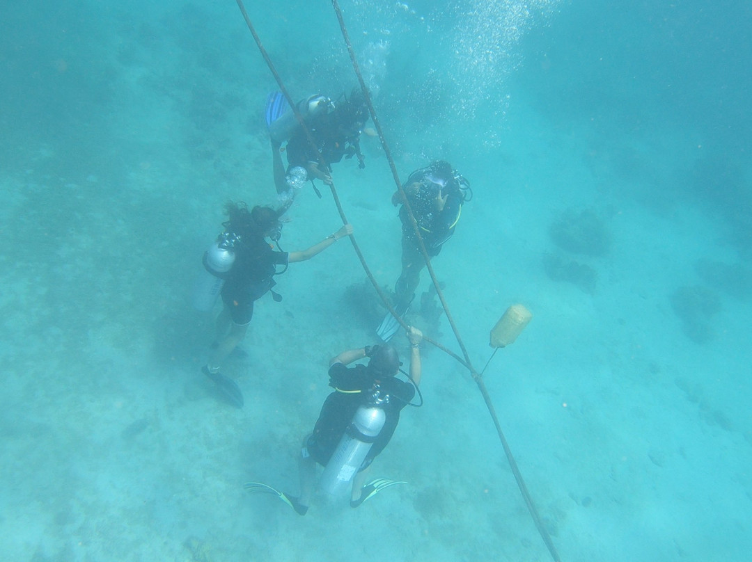 Kariba Plongee-圣吕斯必去景点