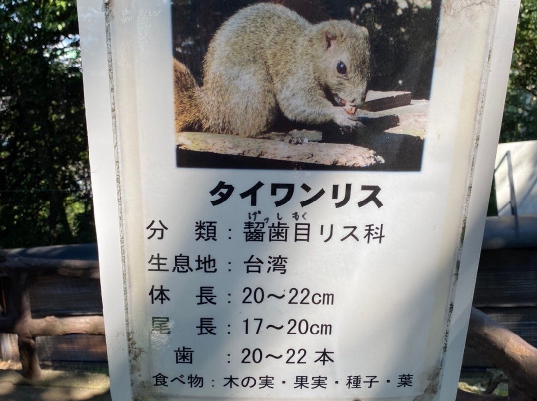 Mt. Kinkazan Squirrel Village-岐阜市必去景点