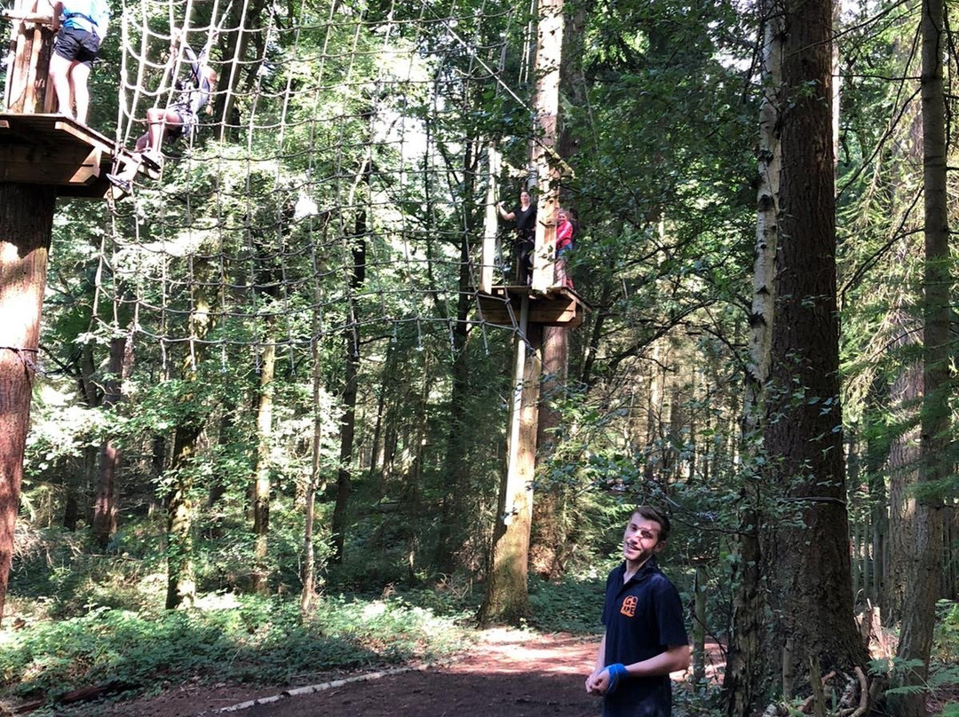 Go Ape Wyre景点图片