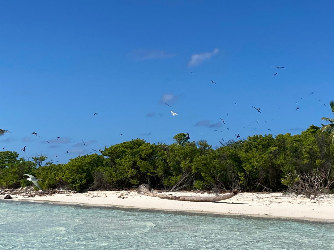 Tahiti Trip Fishing景点图片