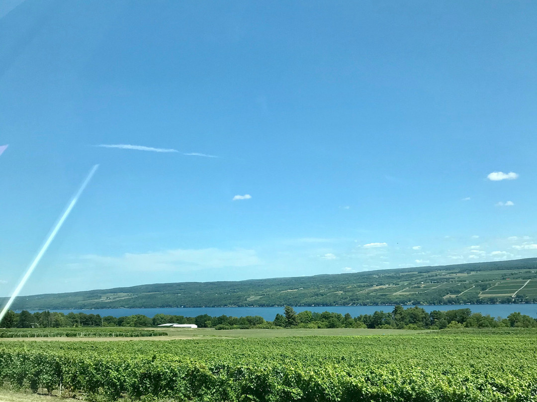 Seneca Lake Wine Trail-沃特金斯格伦必去景点