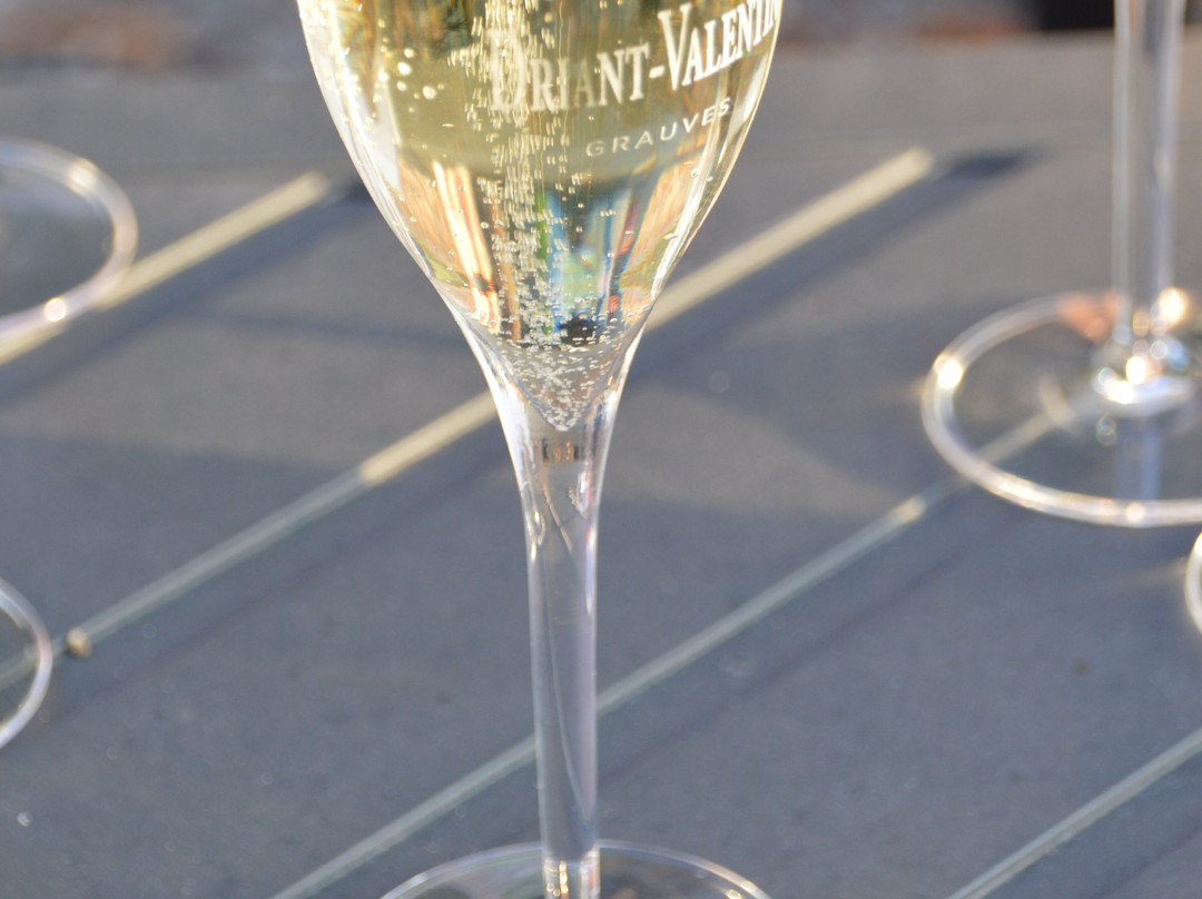 Champagne Driant-Valentin景点图片