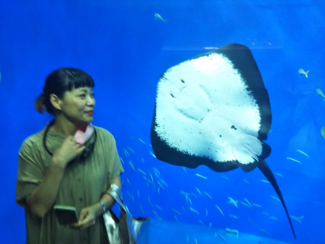 Kochi Prefectural Ashizuri Kaiyokan Aquarium-土佐清水市必去景点