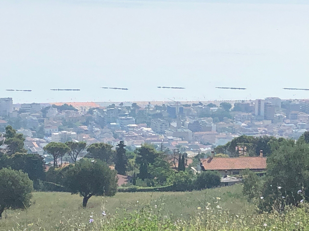 Belvedere Di Montepagano景点图片
