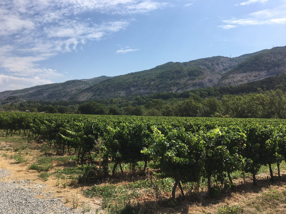 Domaine de Tresbaudon-Tallard必去景点
