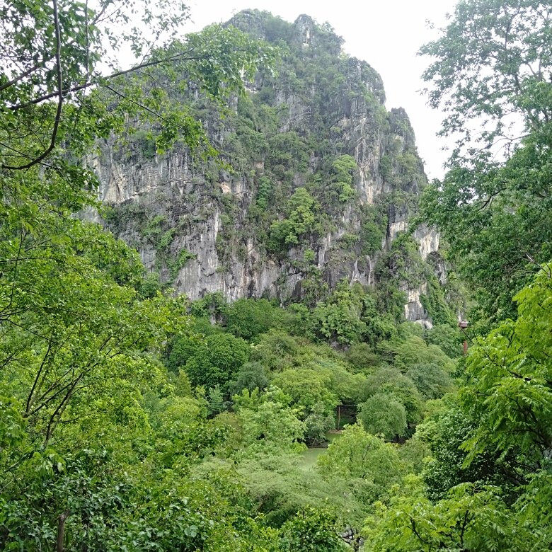 Khao Nang Phanthurat Forest Park景点图片