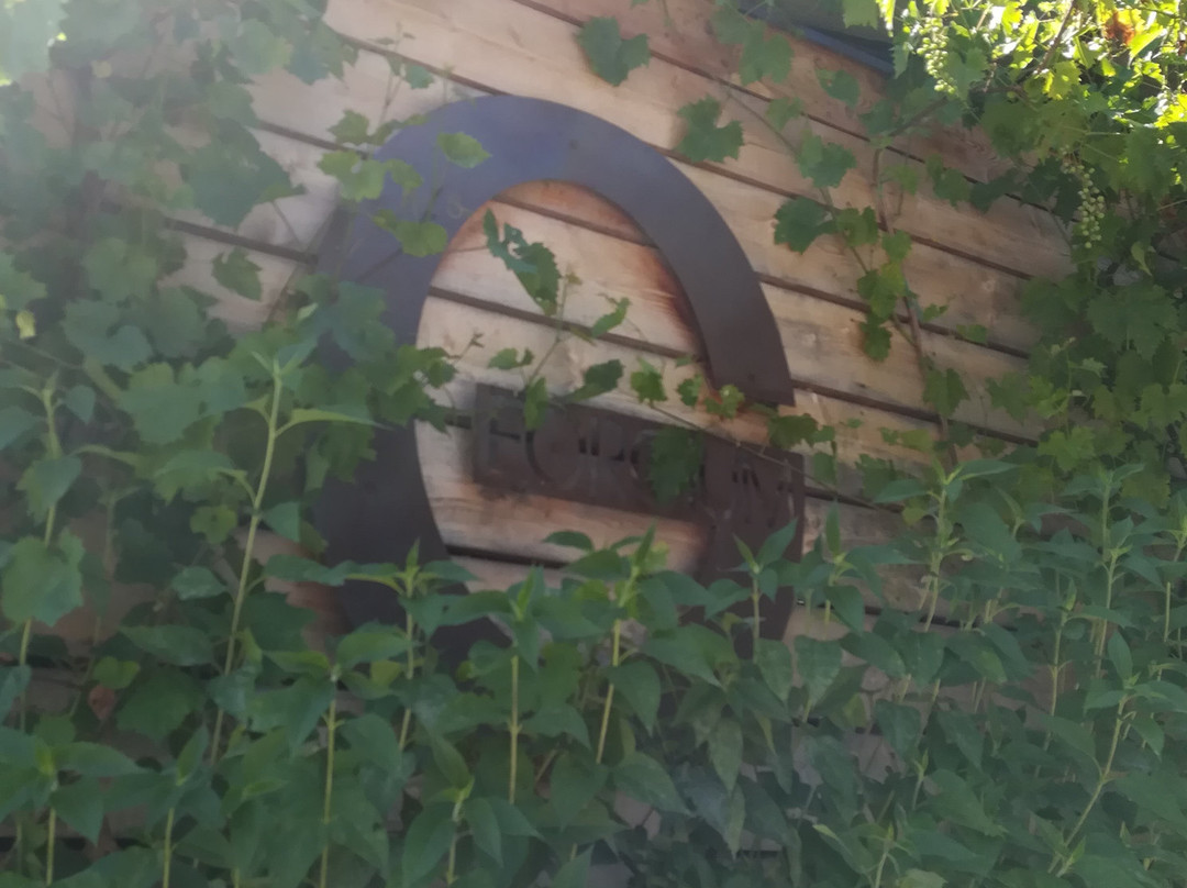 Weingut Georgium主图