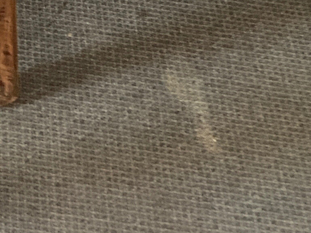 Hotel de la Plage主图