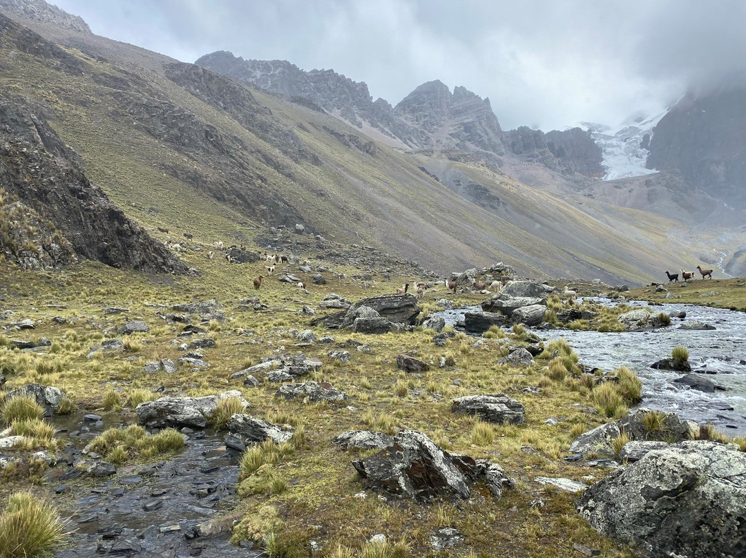 Solace Trekking and Tours-拉巴斯必去景点