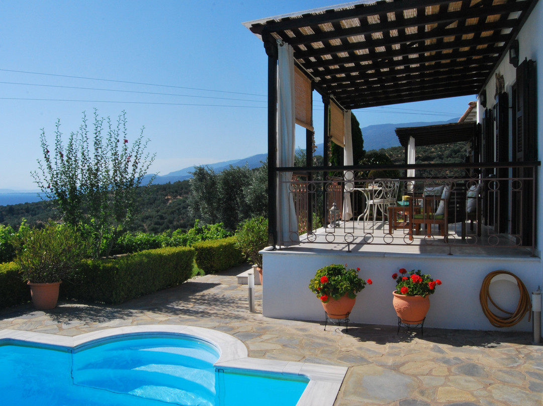 Olive Grove Villas