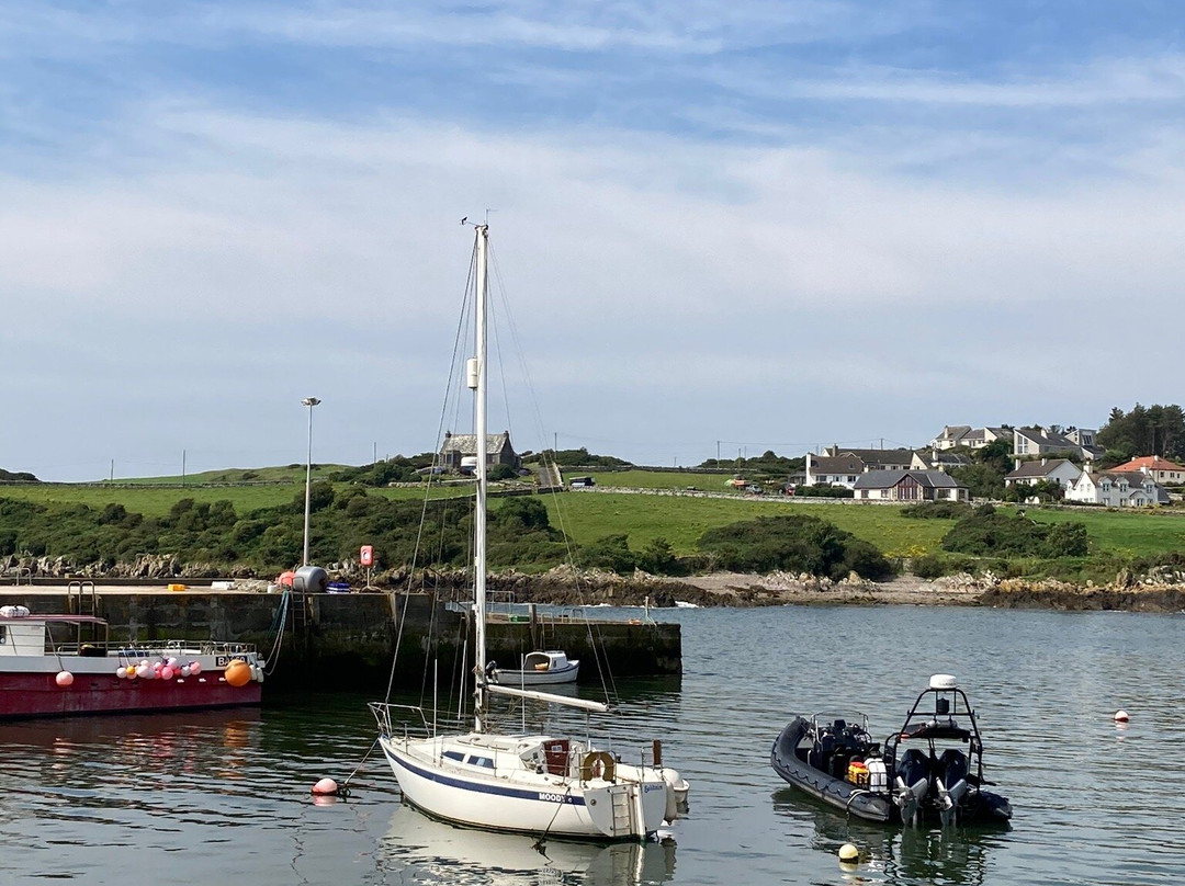 Steam Packet Inn主图