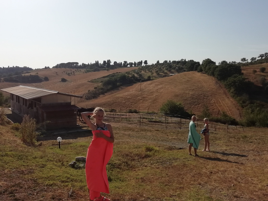 La Fattoria Di Valentina景点图片