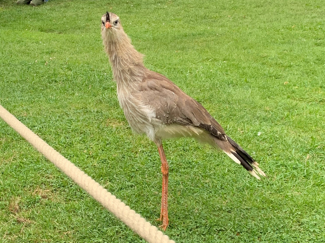 Tierpark Stralsund-施特拉尔松德必去景点