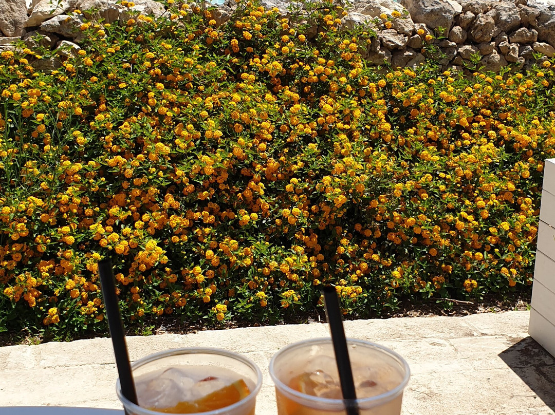 Relais Masseria Le Cesine - CDSHotels主图