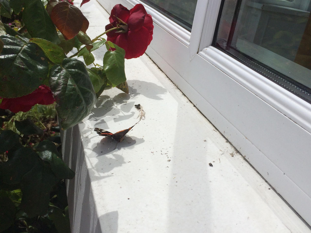 Garryvoe Hotel主图