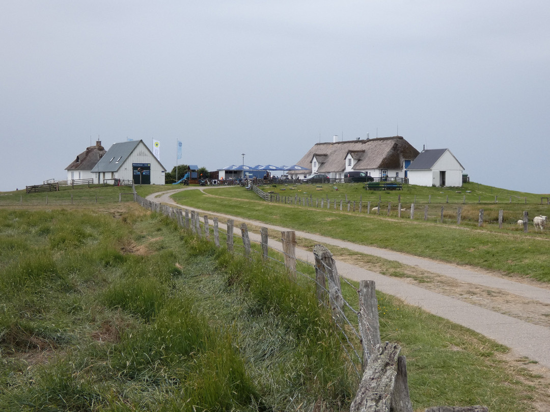 Hamburger Hallig-Bredstedt必去景点