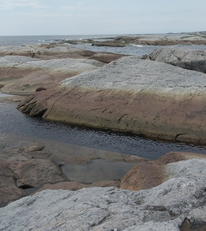 Maison de la Chicoutai-Riviere-au-Tonnerre必去景点