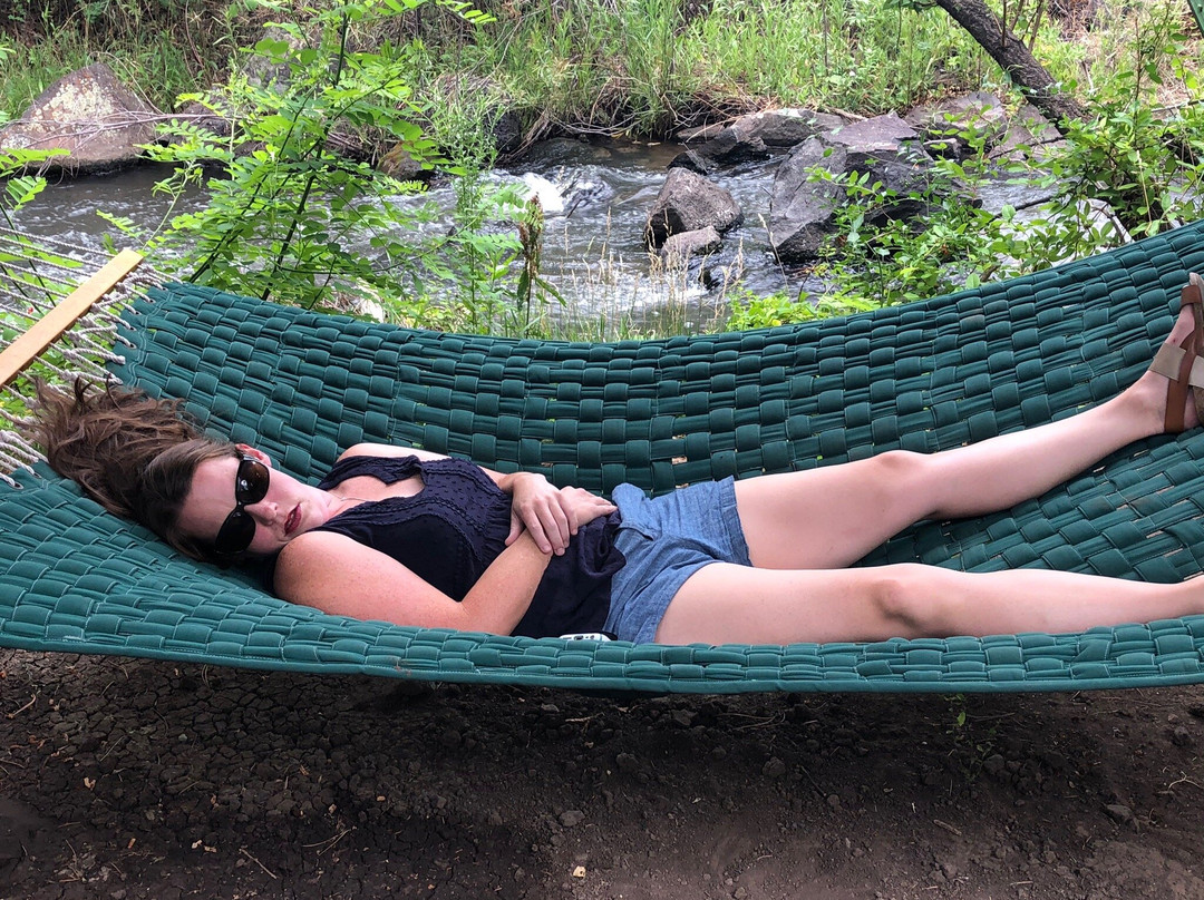 Cedaredge Lodge主图