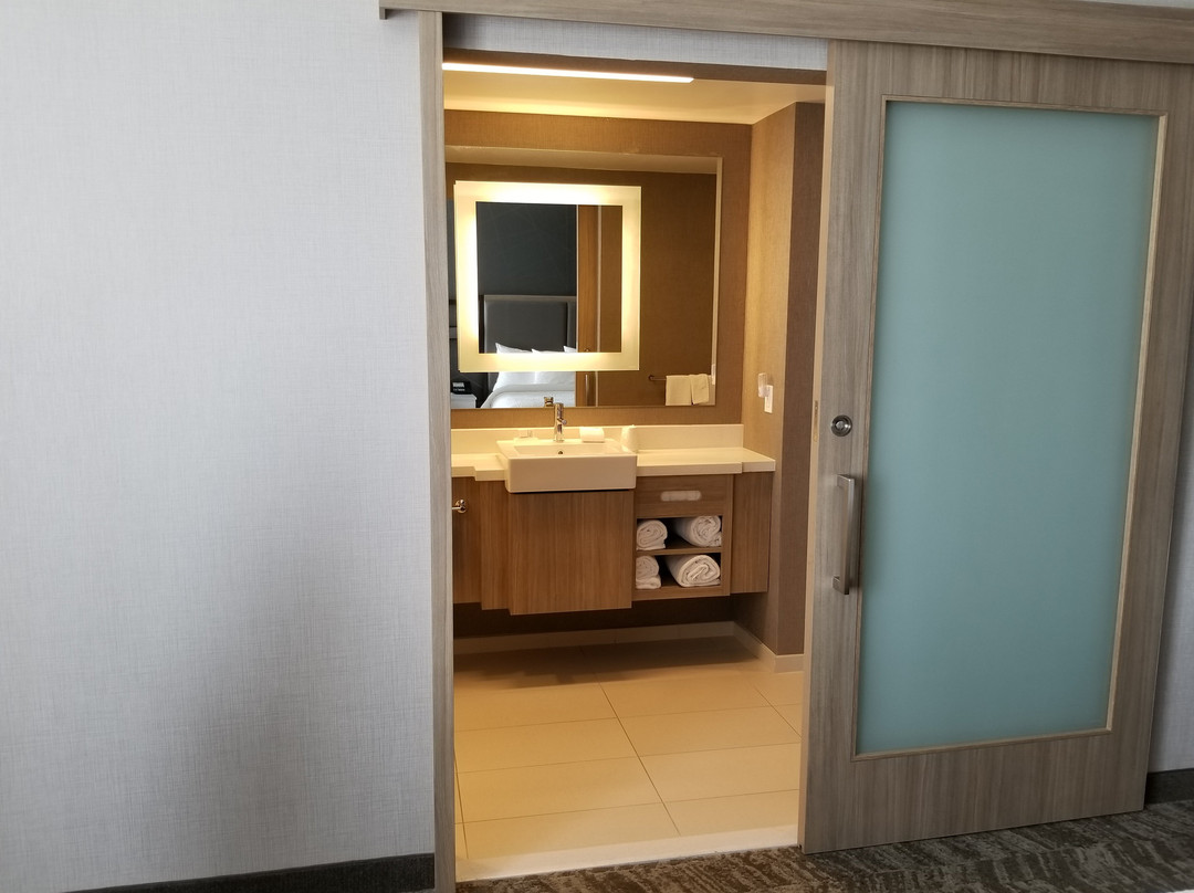Springhill Suites by Marriott Newark Downtown主图