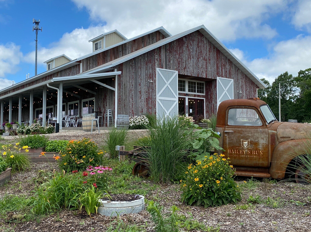Bailey's Run Vineyard & Winery景点图片