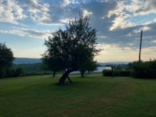 Newfield旅游攻略图片