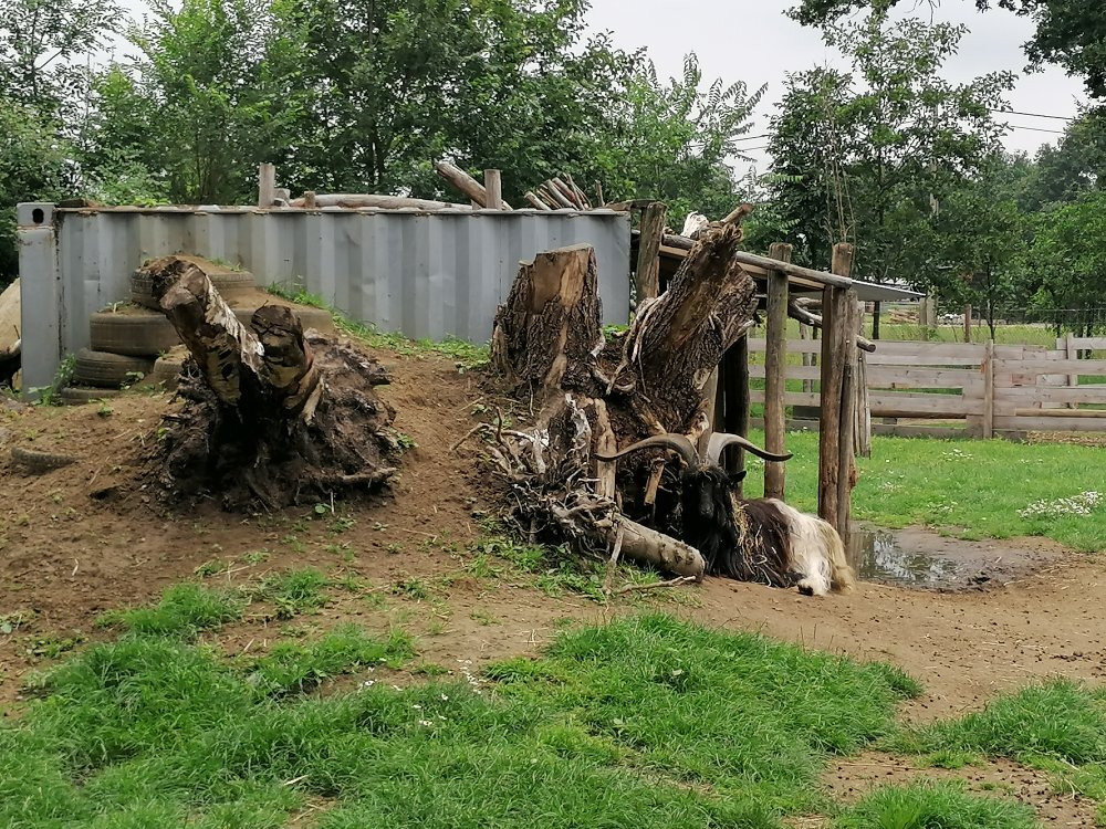 Kinderboerderij De Bollekeshoef-Heist-op-den-Berg必去景点