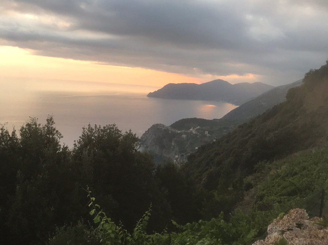 月神迪马索酒店主图