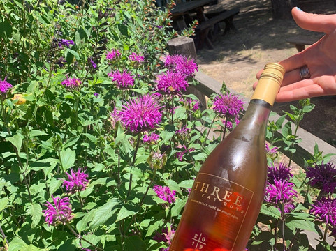 Three Fat Guys Wines-索诺玛必去景点