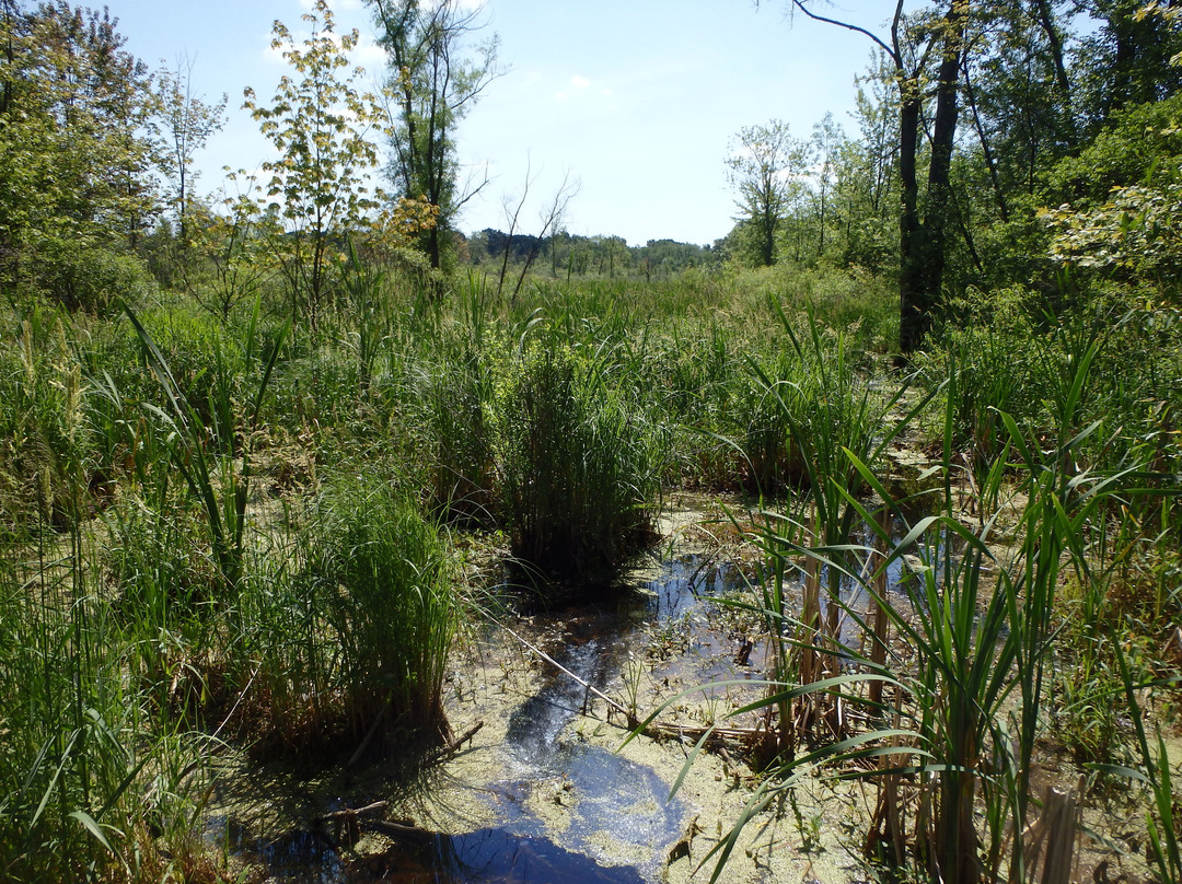 Independence Lake County Park