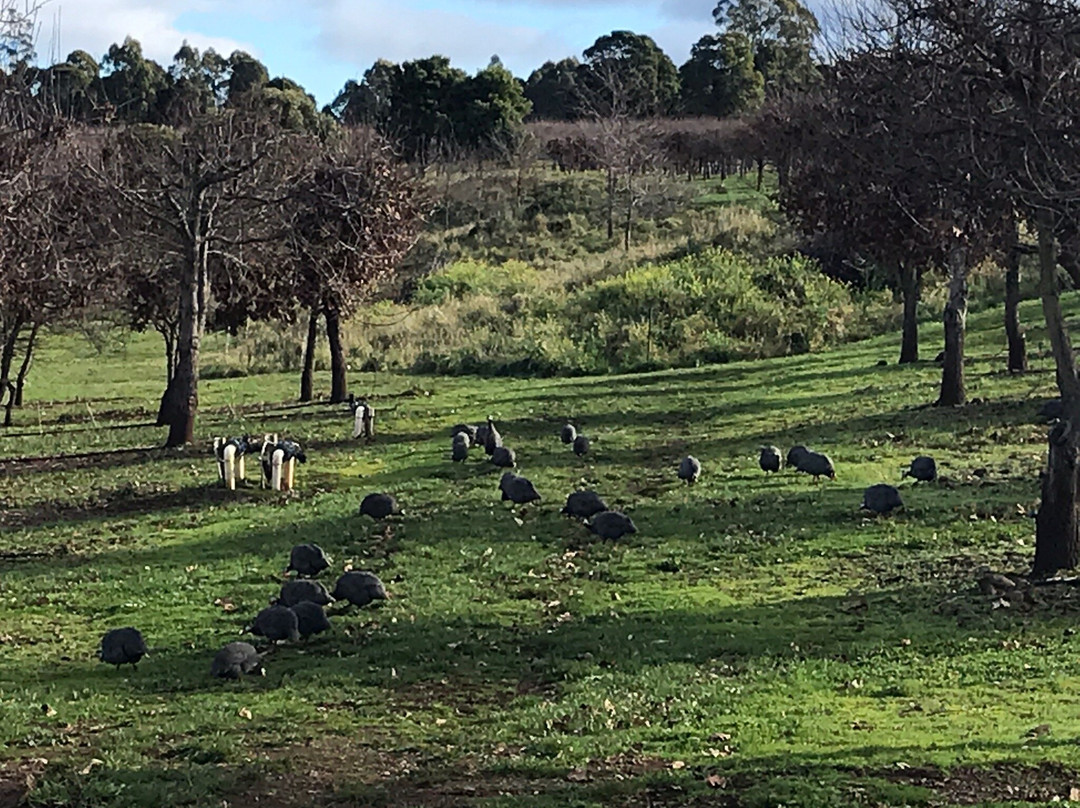 Truffles of Tasmania景点图片