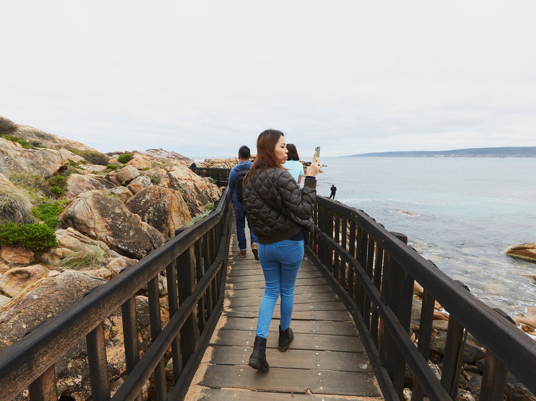 Harvest Tours-Cowaramup必去景点