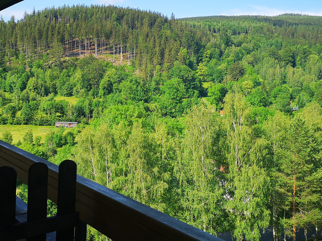 Hotel Malachit主图