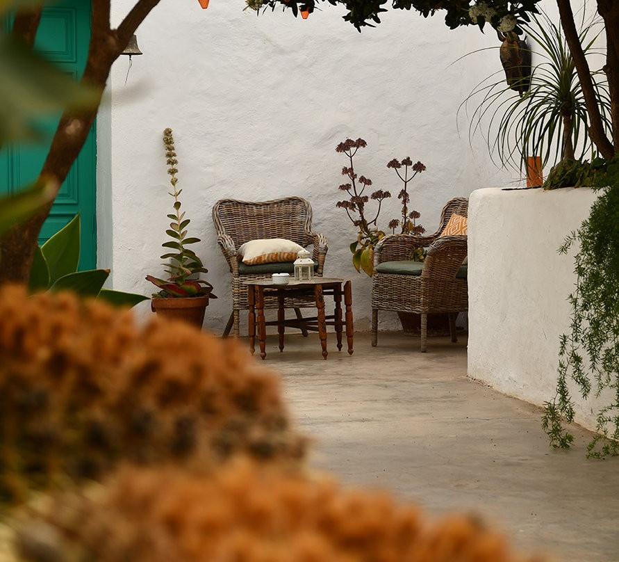 Los Lirios Hotel Rural主图