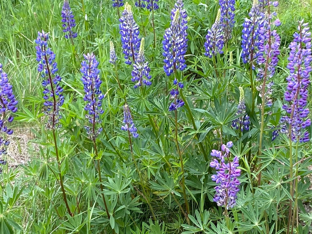 Blair Hill Inn主图