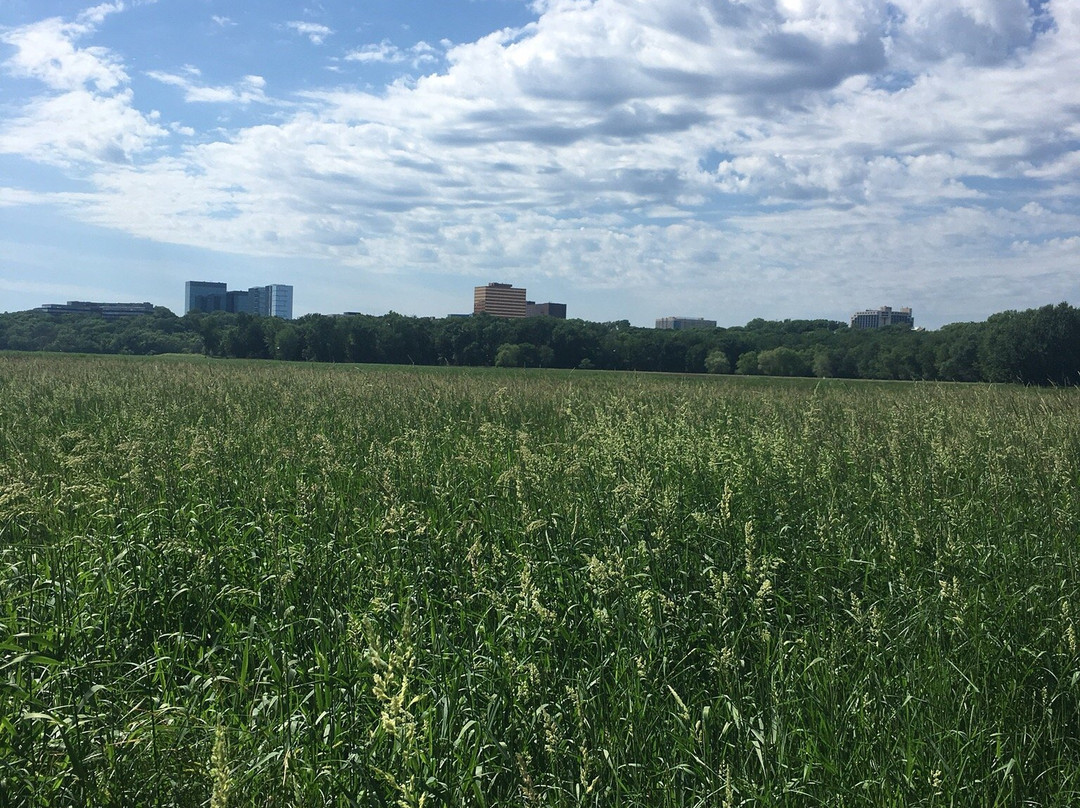 Minnesota Valley National Wildlife Refuge-布卢明顿必去景点