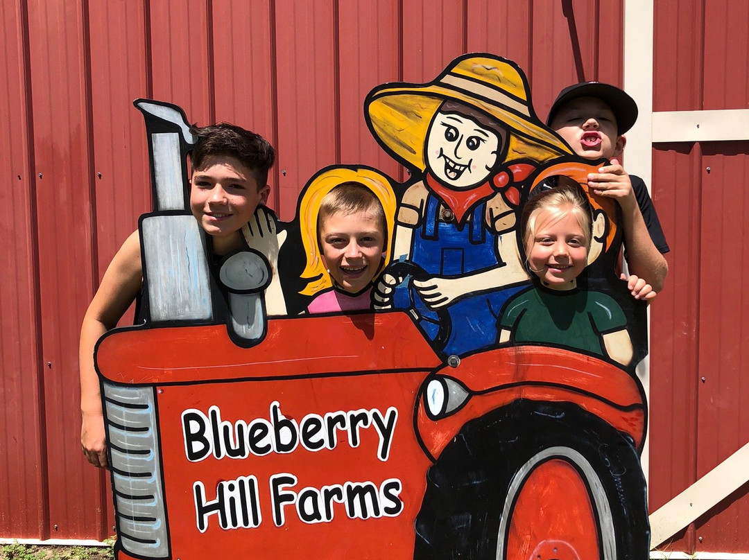 Blueberry Hill Farms景点图片