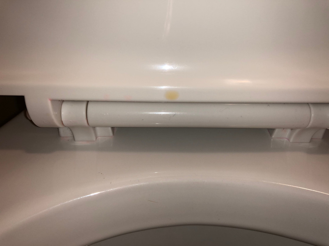 塔斯科拉快捷假日酒店主图