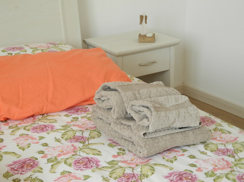 里拉含羞草民宿主图