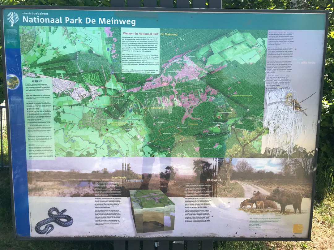 National Park de Meinweg景点图片