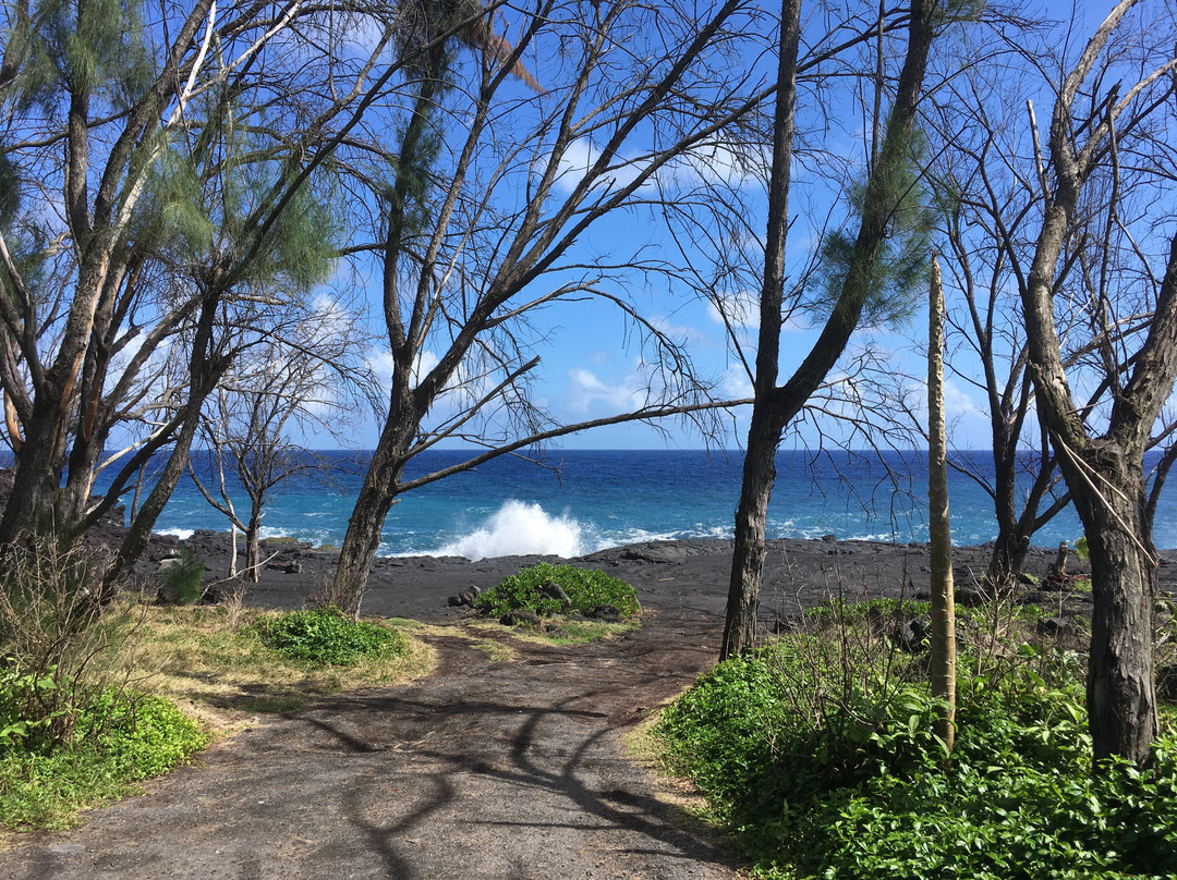 Isaac Hale Beach Park景点图片