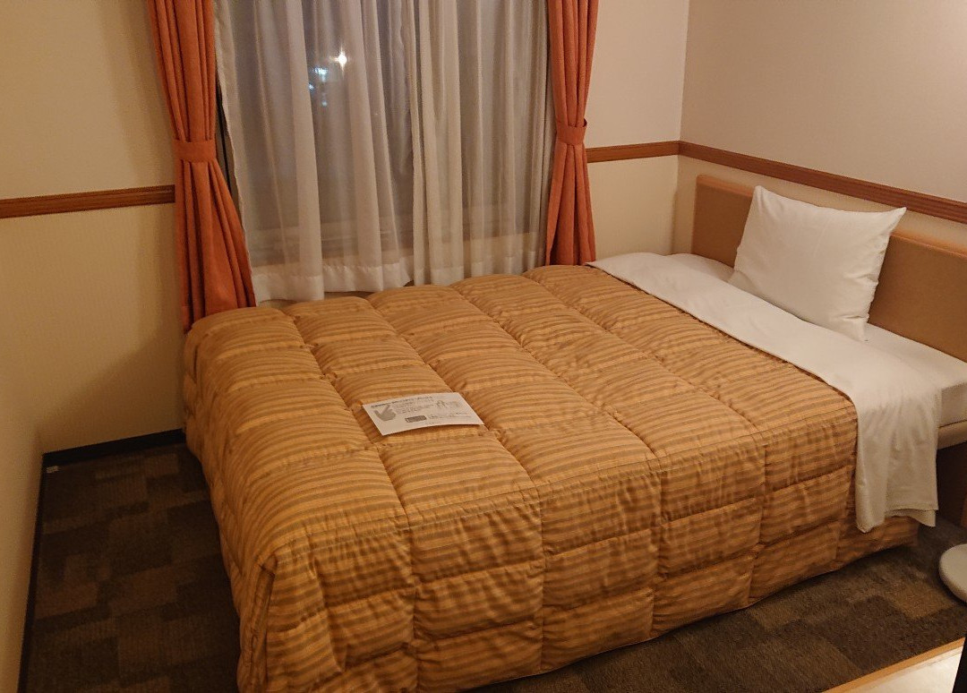 Toyoko Inn Ichinosekiekimae主图