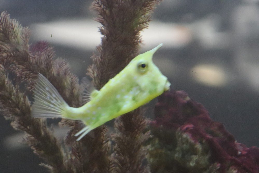 The City of Rancho Mirage Public Library-兰乔米拉必去景点