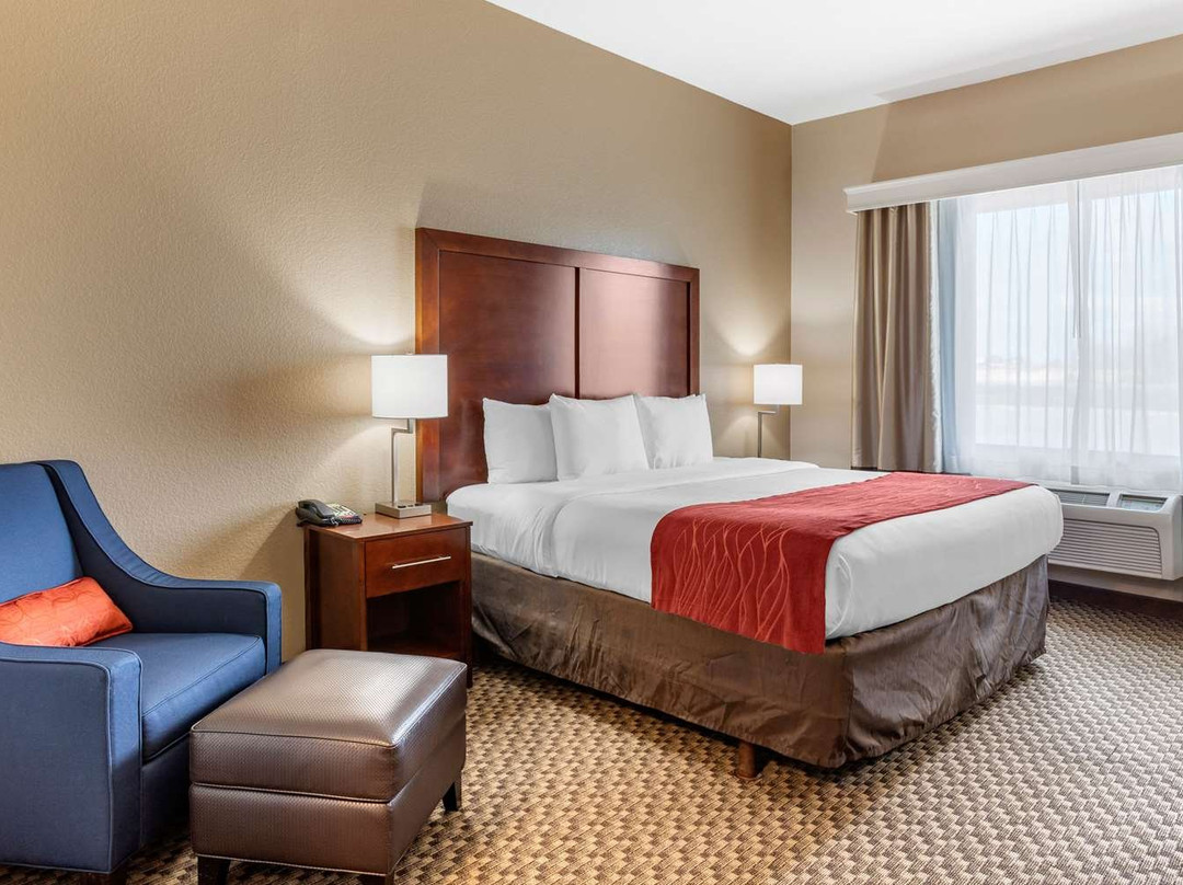 Comfort Inn & Suites Navasota主图