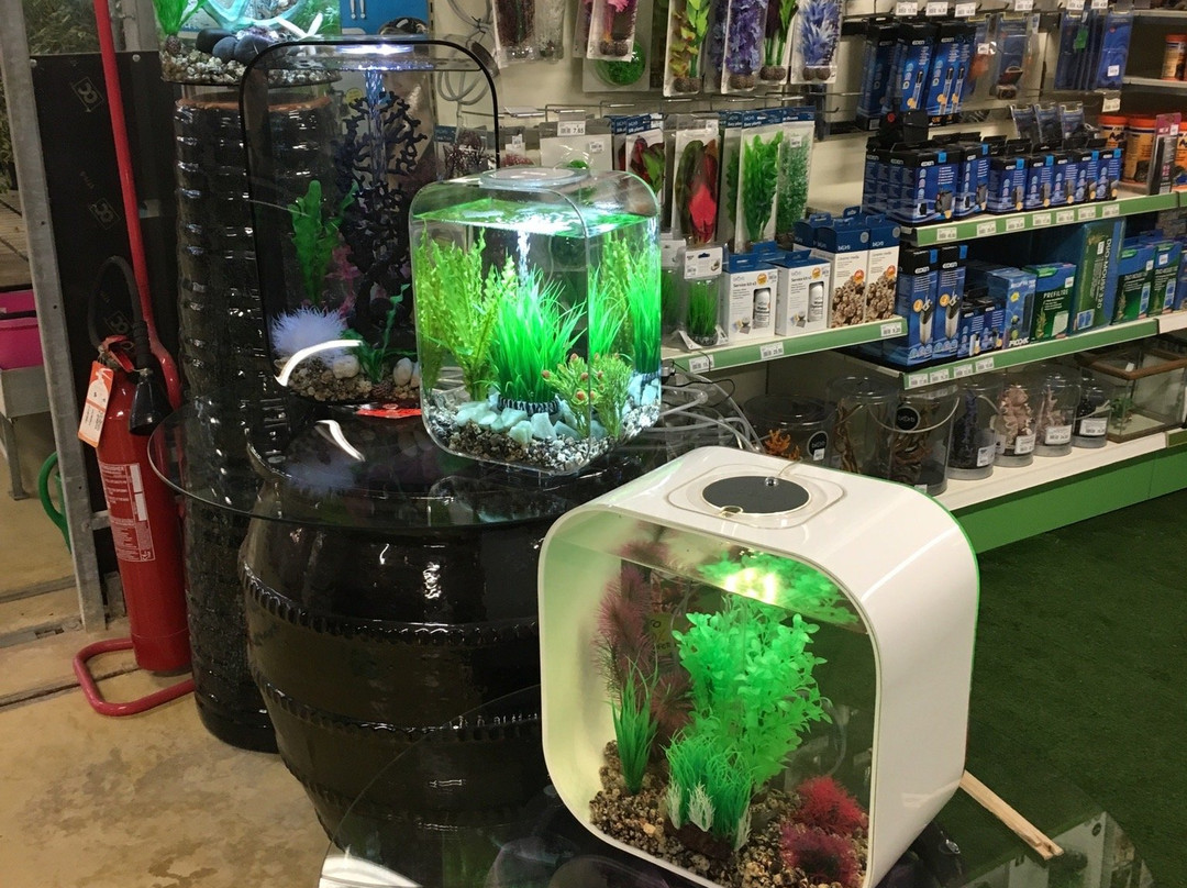 Nardo' garden-纳尔德奥必去景点