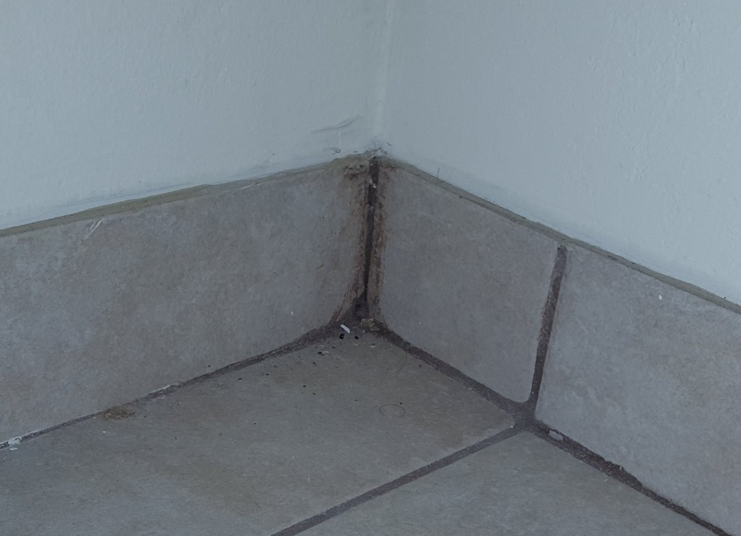 Ramada by Wyndham Newark/Wilmington主图