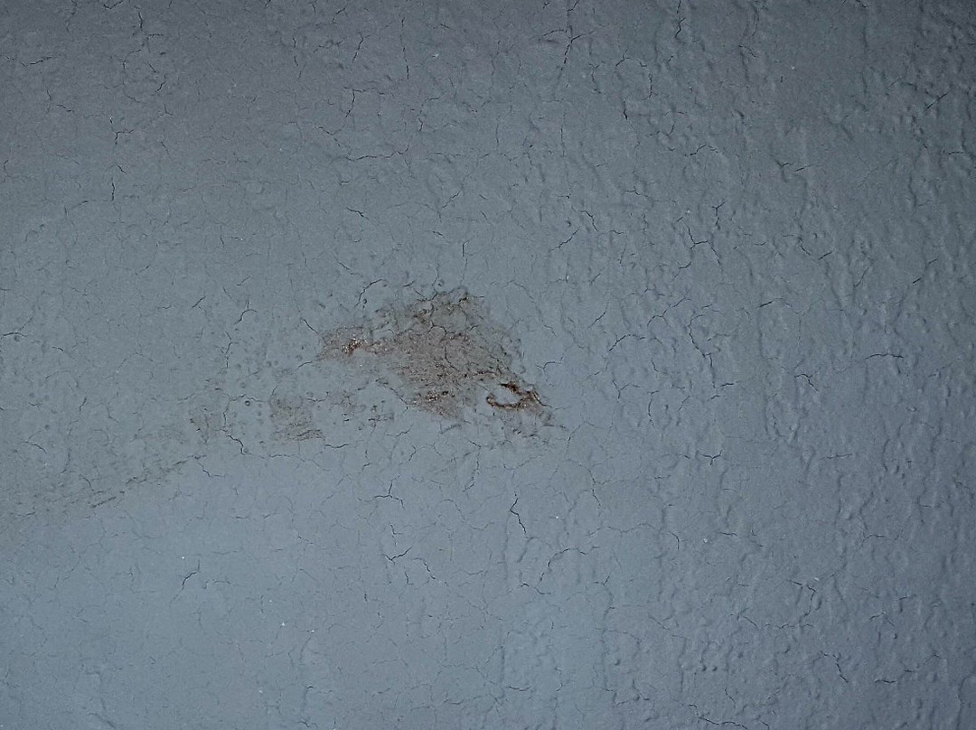 Ramada by Wyndham Newark/Wilmington主图