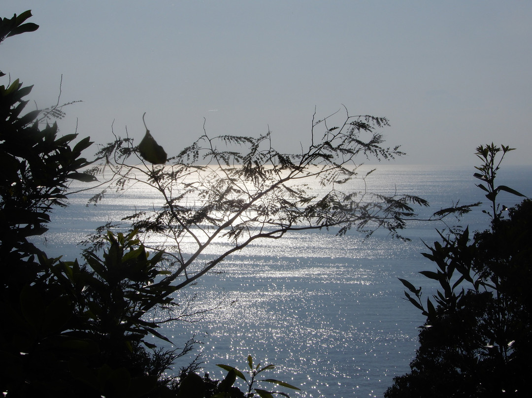 Ishiyama Rikyu Gosoku no Kutsu主图