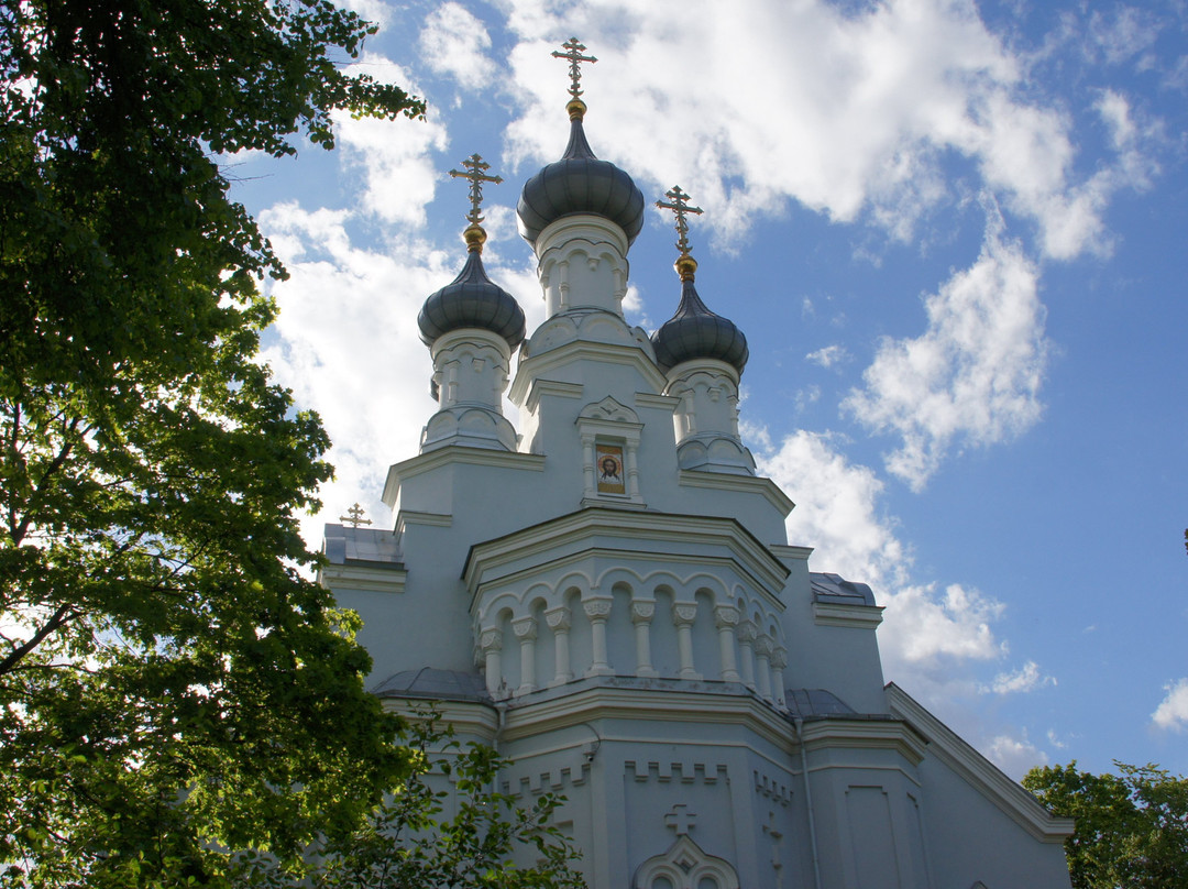 Cathedral of Vladimir Icon of Our Lady景点图片