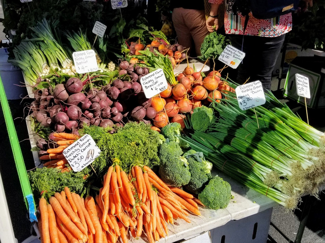 霍巴特周日集市-霍巴特必去景点